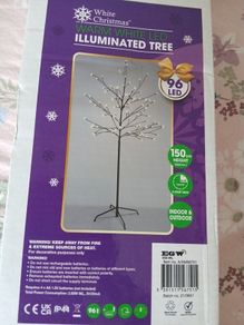Illuminated Tree