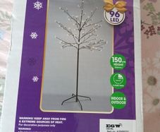 Illuminated Tree