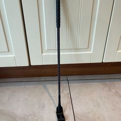 Horse whip