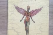 Nirvana In Utero