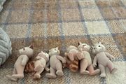 Sylvanian families - collectibles