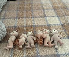 Sylvanian families - collectibles