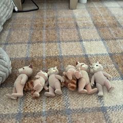 Sylvanian families - collectibles
