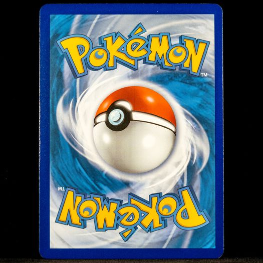 Gardenia's Vigor 202/189 Rainbow Secret Hyper Holo Rare SWSH Astral Radiance Pokemon Card