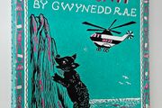 Mary Plains Whodunnit (1st Edition 1965) - Gwynedd Rae - Vintage Children's Book