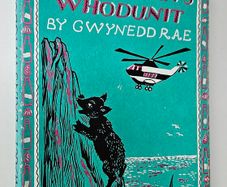 Mary Plains Whodunnit (1st Edition 1965) - Gwynedd Rae - Vintage Children's Book