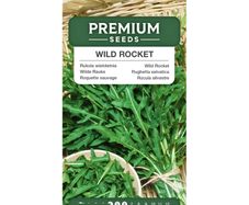 (R) Wild Rocket Seeds Perennial 0.5g (883546)