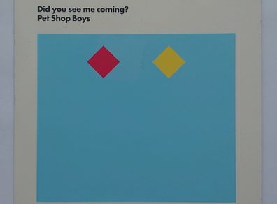 Pet Shop Boys - Did You See Me Coming? - CD Single