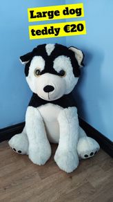 large dog teddy
