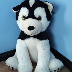 large dog teddy