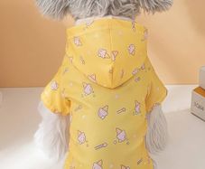 small dog raincoat
