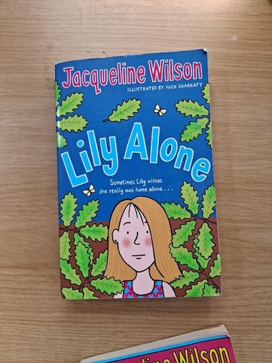 Selection of  Jacqueline Wilson Books