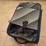 2 wheel travel cabin case with extendable handle. Image 7