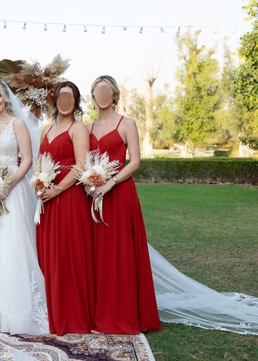 Rust Bridesmaid Dress x3