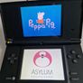 Nintendo DSi Image 4