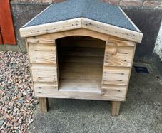 dog house
