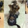NEW stylish waterproof leather effect jacket Image 4