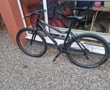 Carrera Bicycle broken