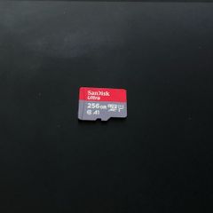 256GB Sandisk Micro SD Card