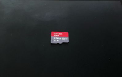 256GB Sandisk Micro SD Card