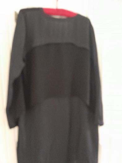 ZARA Black and Navy Sheer Dress.