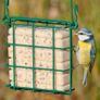 Peanut Cake Square Bird Feeder Image 2