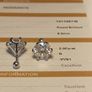 2ct+2ct Moissanite Solitaire Studs Image 6