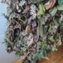 ghillie Image 2