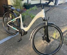 Raleigh Felix e-bike