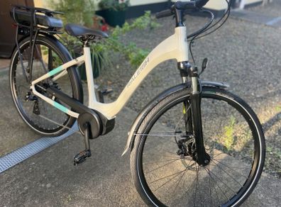 Raleigh Felix e-bike