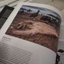 A wild life Image 3