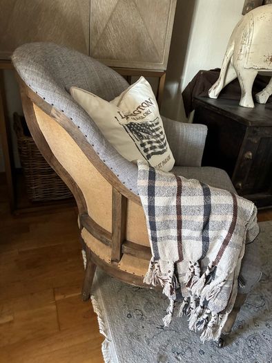 Deconstructed French napoleonic  style chair
