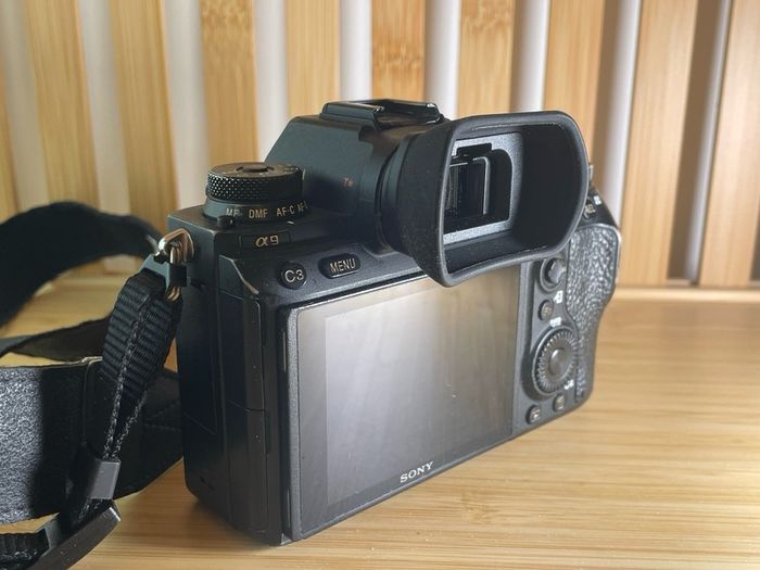 Sony A9