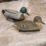 decoy ducks Image 3