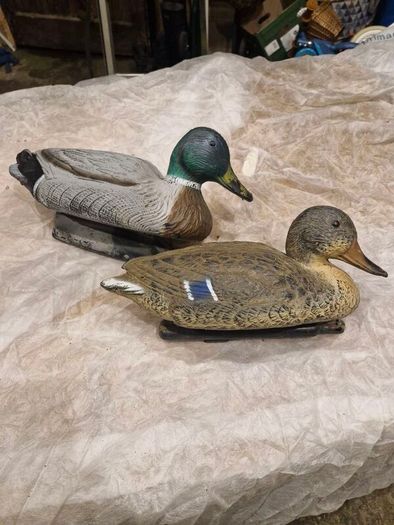 decoy ducks
