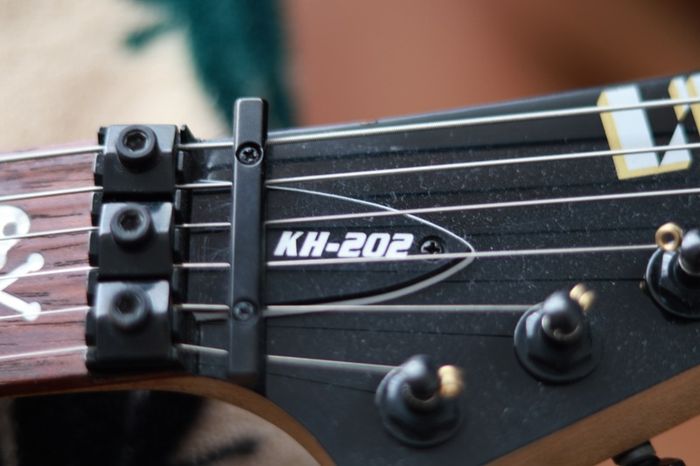 Esp Ltd KH202
