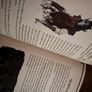 Star Wars The Bounty Hunter Code Book Image 3