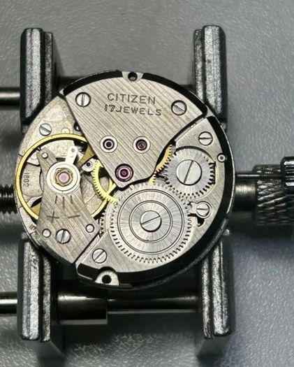 Citizen Homer 1971