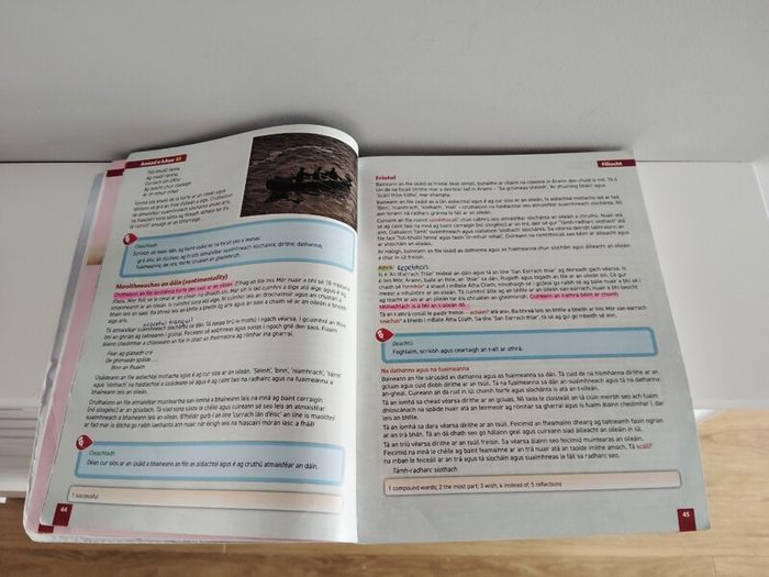 Fiuntas Nua Leaving Certificate Irish Higher Level