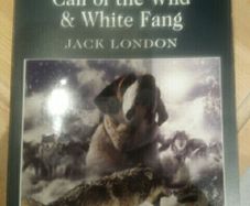 Call of the wild & White fang