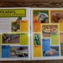 National Geographic Kids Animal Encyclopedia, Age 5+ Image 8