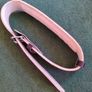 Powerlifting / Weightlifting belt Image 2