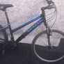 adult bike Image 3