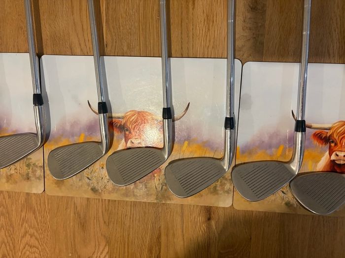 Taylor Made T200 series Irons 4-SW