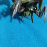 Transformer Beast Hunters Hardshell Image 5
