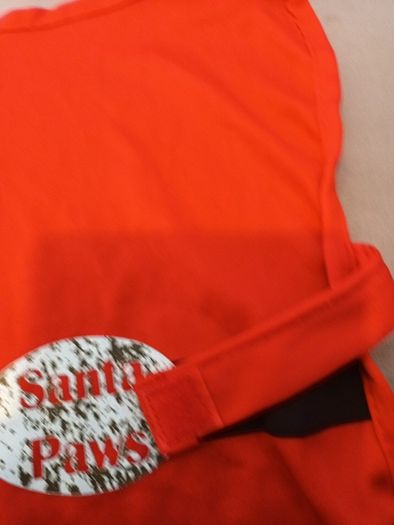 Small santa dog coat