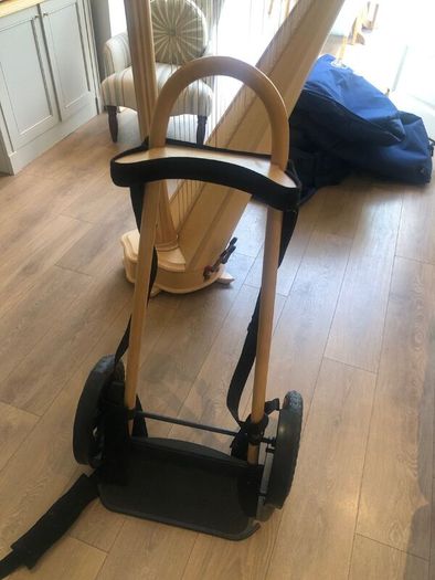 Salvi Daphne 40 Pedal Harp in Perfect Condition