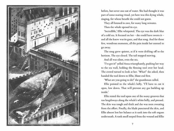 New - Orphans of the Tide Paperback by Struan Murray( Ages 9-14)