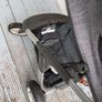 Buggy Image 2