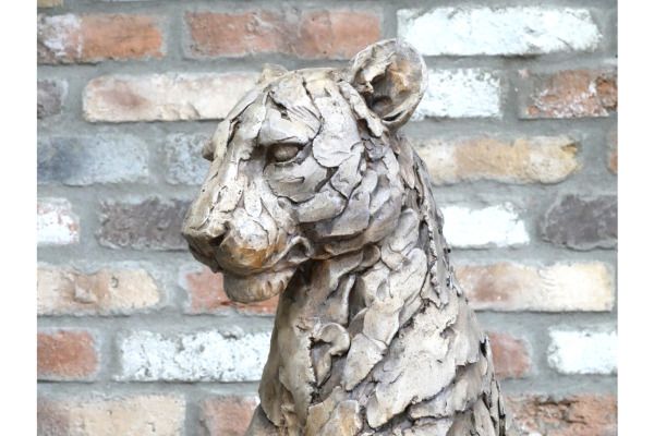 Leopard D10058